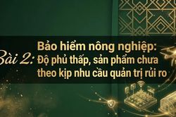 Bảo hiểm nông nghiệp: Độ phủ thấp, sản phẩm chưa theo kịp nhu cầu quản trị rủi ro