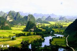 Khám phá vẻ đẹp mùa vàng của thung lũng Ngọc Côn tại Cao Bằng