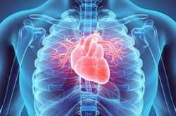 Nhật Bản: Ca phẫu thuật đầu tiên trên thế giới dùng tế bào gốc cơ tim