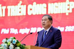 'Không có quốc gia nào trở thành nước công nghiệp phát triển chỉ bằng lắp ráp'