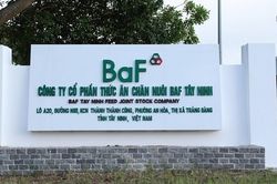BAF chi 162 tỷ đồng 'nắm trọn' Hùng Phát Farm Một