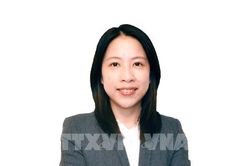 Con đường thích nghi của nông nghiệp Việt Nam