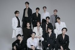Nhiều người bán vé chợ đen concert SEVENTEEN lĩnh án tù, bị tịch thu hơn 1 tỷ won