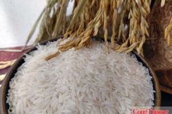 Gạo Việt Nam: Không thể chỉ cạnh tranh bằng giá