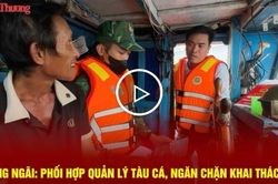 Quảng Ngãi: Phối hợp quản lý tàu cá, ngăn chặn khai thác IUU