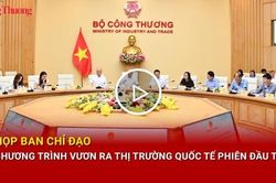 Họp Ban Chỉ đạo Chương trình vươn ra thị trường quốc tế phiên đầu tiên