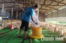 Việc làng trên vai người trẻ