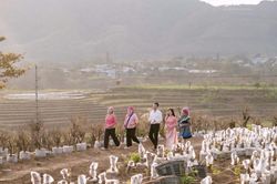 Nông sản từ bản làng vươn toàn quốc qua thương mại điện tử