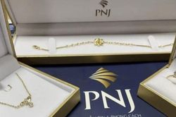 PNJ muốn phát hành thêm 550 triệu cổ phiếu