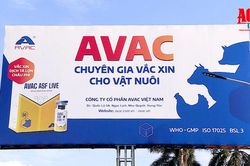 Việt Nam xuất khẩu lô vaccine dịch tả lợn châu Phi lớn nhất từ trước đến nay
