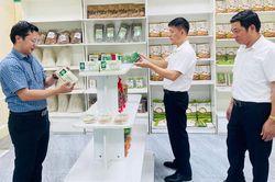 Thành lập khu trưng bày và bán sản phẩm đặc trưng của phường Nhân Hòa và các vùng, miền