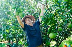Xã Quế Phước nỗ lực xây dựng nông thôn mới