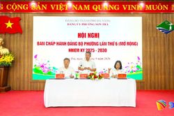 9 tháng, thu ngân sách trên địa bàn phường Sơn Trà ước đạt 1.332 tỷ đồng