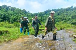 Hành trình đưa các anh trở về