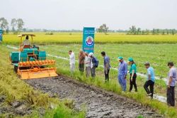 Mỹ Quí: Triển vọng từ mô hình xới vùi rơm rạ kết hợp sử dụng chế phẩm vi sinh