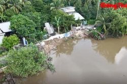 Sạt lở đường bờ Tây sông Rạch Gầm chờ khắc phục