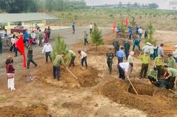 Gia Lai đẩy nhanh tiến độ trồng rừng trong mùa mưa