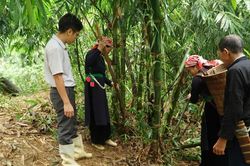 Hội Nông dân Văn Bàn đồng hành với nông hộ phát triển kinh tế