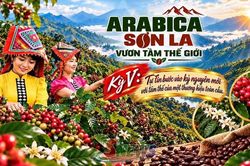 ARABICA SƠN LA – VƯƠN TẦM THẾ GIỚI • Kỳ V: Tự tin của một thương hiệu toàn cầu