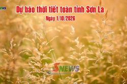 Dự báo thời tiết toàn tỉnh Sơn La ngày 1/10/2026