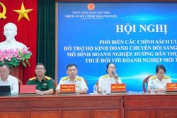 Gần 500 hộ, cá nhân kinh doanh được hỗ trợ chuyển đổi sang doanh nghiệp