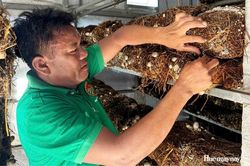 Tìm hướng sản xuất phù hợp để tăng thu nhập