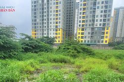 TP. Hồ Chí Minh: Giá khởi điểm cho thuê ngắn hạn 10 khu đất