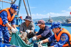 Cùng ngư dân giữ biển xanh từ mỗi chuyến vươn khơi