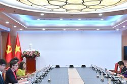 WHO khuyến nghị mở rộng phạm vi Luật An toàn thực phẩm