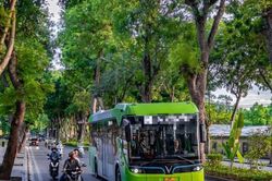 Hà Nội mở mới tuyến buýt điện liên tỉnh Gia Lâm - Hưng Yên