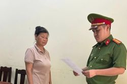 Phú Thọ: Khởi tố thêm 2 bị can vụ nâng khống giá thực phẩm