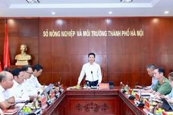 Hà Nội tăng tốc hoàn thành nhiệm vụ nông nghiệp, môi trường những tháng cuối năm