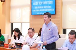 Gỡ vướng để thiết chế văn hóa, thể thao hoạt động hiệu quả