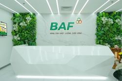 BAF Việt Nam (BAF): Vừa mua thêm 75% vốn Hùng Phát Farm Một, lên kế hoạch phát hành 8 triệu cổ phiếu ESOP