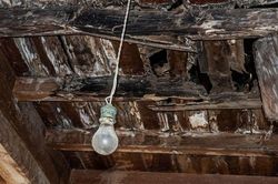 Phát hiện hài cốt trẻ sơ sinh dưới sàn căn hộ cổ tại Anh, có 1 chi tiết khiến cuộc điều tra trở nên ám ảnh