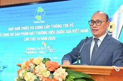 499 sản phẩm của 227 doanh nghiệp đạt Thương hiệu quốc gia Việt Nam năm 2026