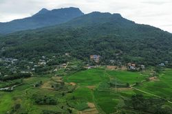 Đề xuất đầu tư khu du lịch Safari 10.000 tỷ đồng tại Ba Vì