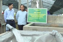 Nuôi cá chình tuần hoàn - Hướng phát triển mới cho thủy sản nước ngọt tại Huế