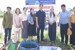 Quảng Trị: Kiểm tra thực địa mô hình nuôi cá mú Trân Châu trong ao đất bằng thức ăn công nghiệp