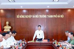Hà Nội tăng tốc hoàn thành các chỉ tiêu phát triển lĩnh vực nông nghiệp và môi trường năm 2026