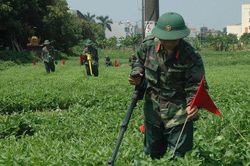 Kỷ niệm 80 năm Ngày truyền thống Lực lượng vũ trang Thủ đô (19/10/1946-19/10/2026): Mở đường vì cuộc sống bình yên
