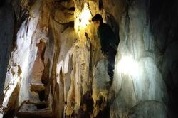 Phát hiện hang động nguyên sơ giữa rừng nguyên sinh ở Nghệ An