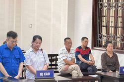 Chiếm đoạt hơn 12 tỷ đồng, cặp vợ chồng lĩnh án gần 38 năm tù