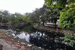 Mương Hồ Sen ở Hải Phòng ô nhiễm nghiêm trọng, ảnh hưởng hàng trăm hộ dân