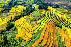 Hội Mùa vàng xã Lục Hồn hứa hẹn nhiều trải nghiệm hấp dẫn