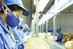 Hướng dẫn quản lý, sử dụng kinh phí khuyến công