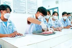 Đào tạo và phát triển nguồn nhân lực cao vùng Đồng bằng sông Cửu Long