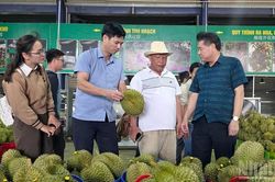 Lâm Đồng: Chia sẻ thực tiễn về quản lý vùng trồng hướng đến mở rộng thị trường xuất khẩu nông sản