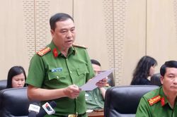 Thu hồi 261.000 USD và 118 tỷ đồng trong vụ Công ty cổ phần đầu tư y tế Việt Mỹ