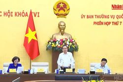 [Video] Chủ tịch Quốc hội Trần Thanh Mẫn: Sửa luật Đất đai phải 'làm chặt, làm kỹ'